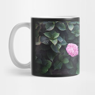 Alkaline hydrangea Mug